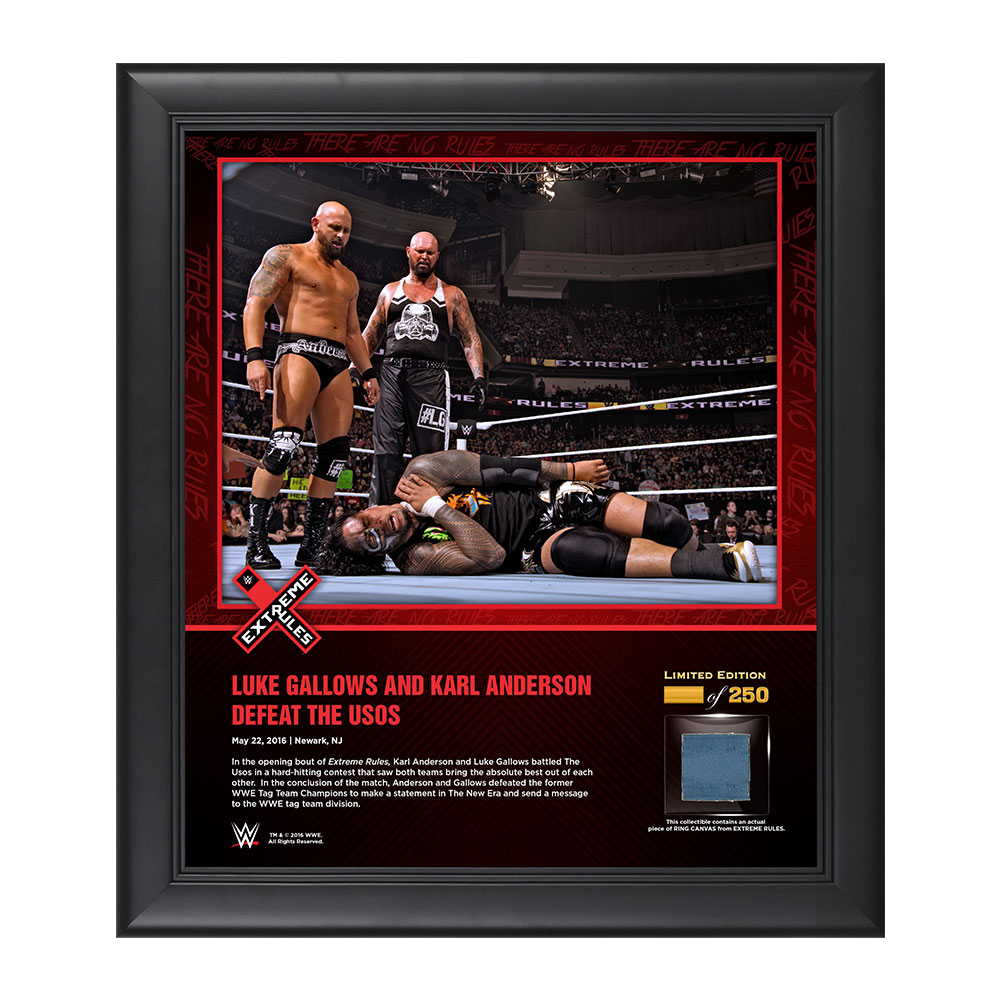 Gallows &amp; Anderson Extreme Rules 2016 15 x 17 Framed Ring Canvas Photo Collage