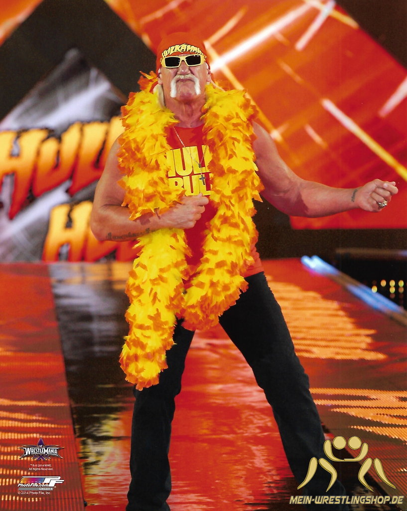 WWE Hulk Hogan Hochglanzfoto