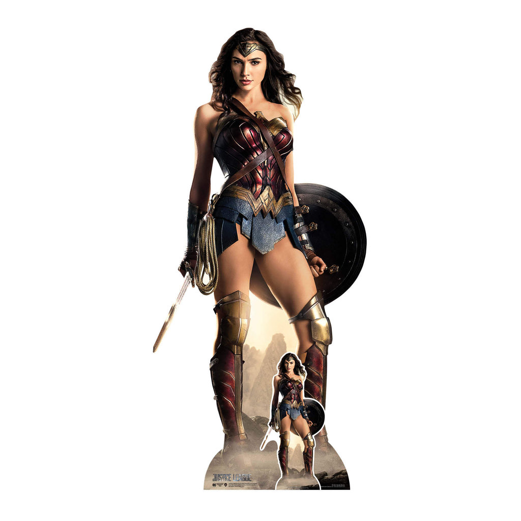 Wonder Woman Justice League Shield Pappaufsteller