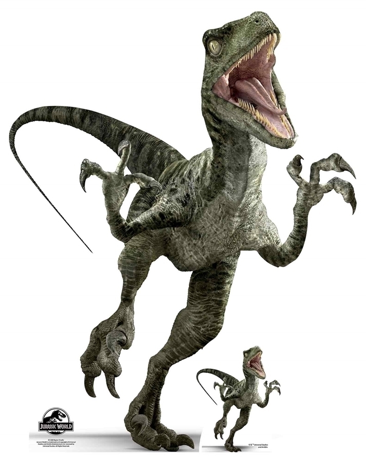 Official Jurassic World Charlie (Raptor) Dinosaurier Pappaufsteller